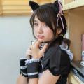 Yatawee Limsiripothong   The cute black cat - 20