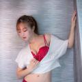 Shin Yu Red Plum and Blue Gray Bra - 03