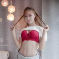 Shin Yu Red Plum and Blue Gray Bra - 10