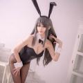 Cangji Platycodon-Seishun Buta Yaro-Sakurajima Mai (Bunny) 02