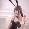 Cangji Platycodon-Seishun Buta Yaro-Sakurajima Mai (Bunny) 16