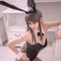 Cangji Platycodon-Seishun Buta Yaro-Sakurajima Mai (Bunny) 17