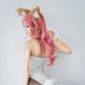 Tamamo Bunny - 玉藻兔女郎 26