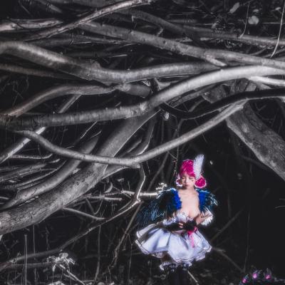 Little Joe Swan's Dream 07