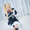 Garden rose (Dead or Alive) 005