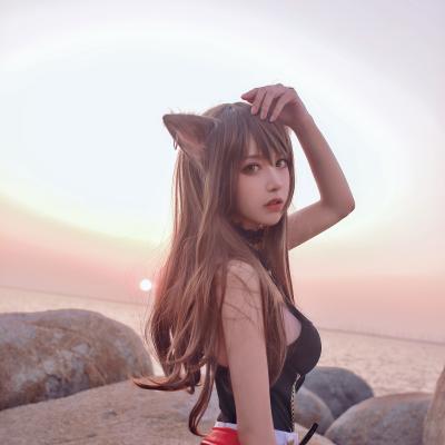 Arknights Skyfire 21