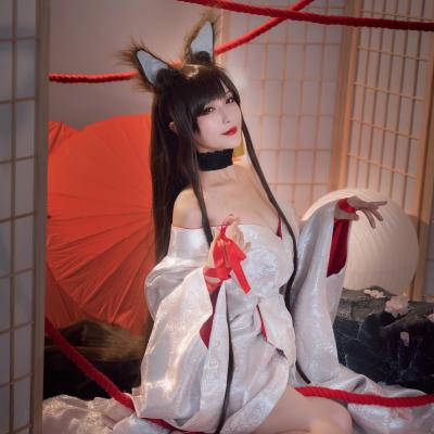 Akagi - Azur Lane 10